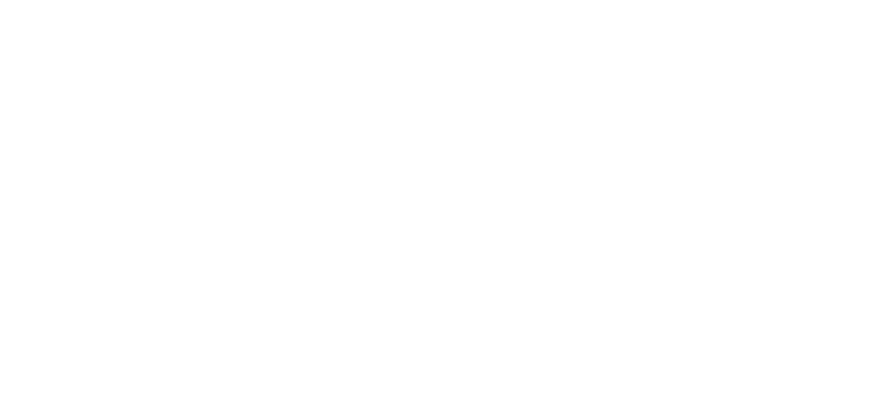 V2G Logo